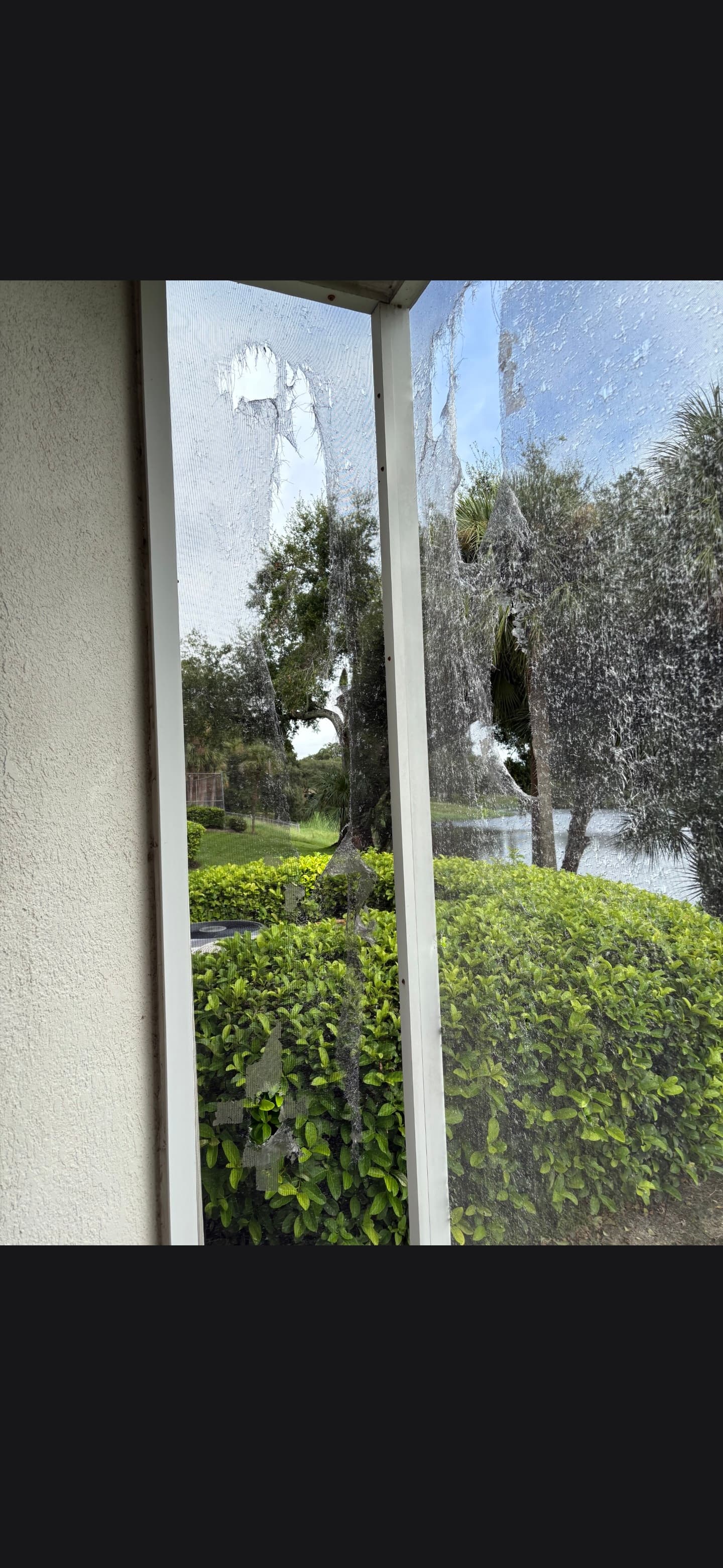 Pool Screen Torn Along the Edge? Here is What It Means and How to Fix It
